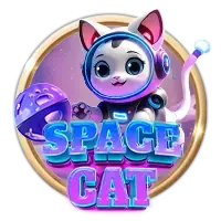 spacecat